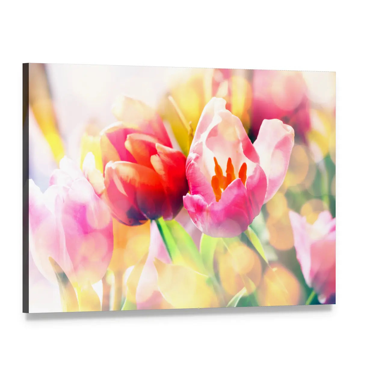 Colorful Spring Tulips Canvas Wall Art, single panel gallery wrapped canvas, angled product view