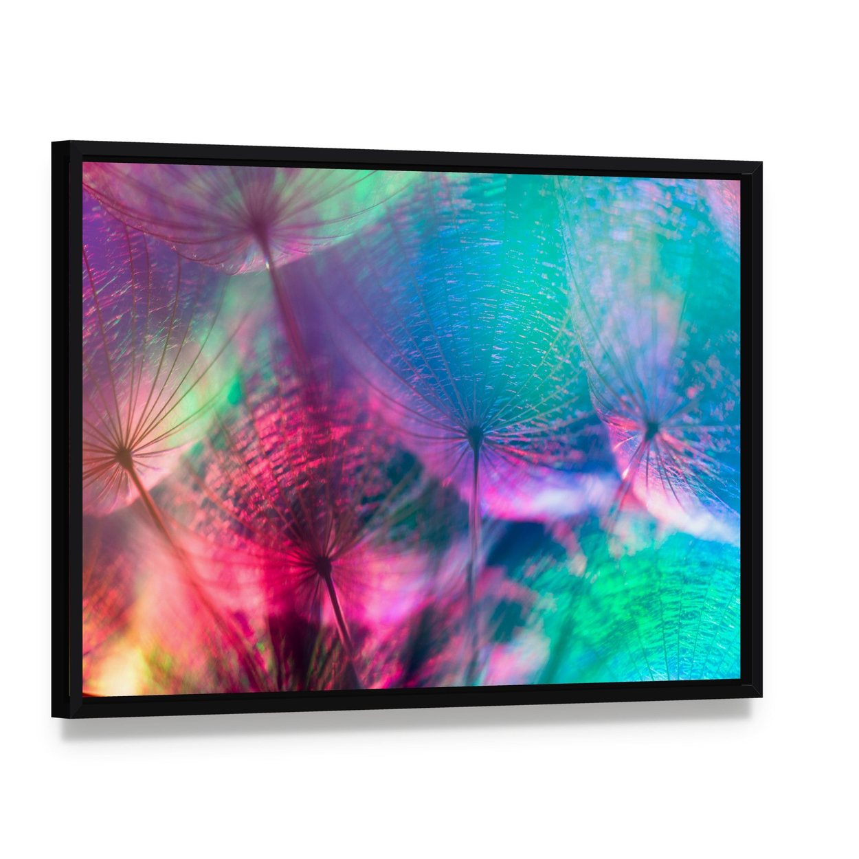 Vivid Color Abstract Dandelion Flower Canvas Wall Art, framed canvas in a black floater frame, angled product view