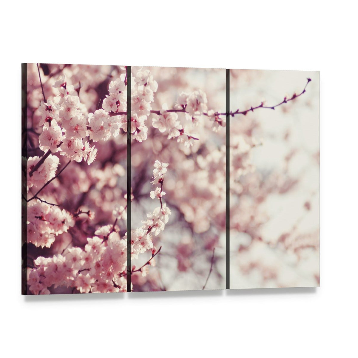 Pink Cherry Blossoms Flowers Canvas Wall Art, 3 panel 3 Horizontal layout gallery wrapped canvas set, angled product view