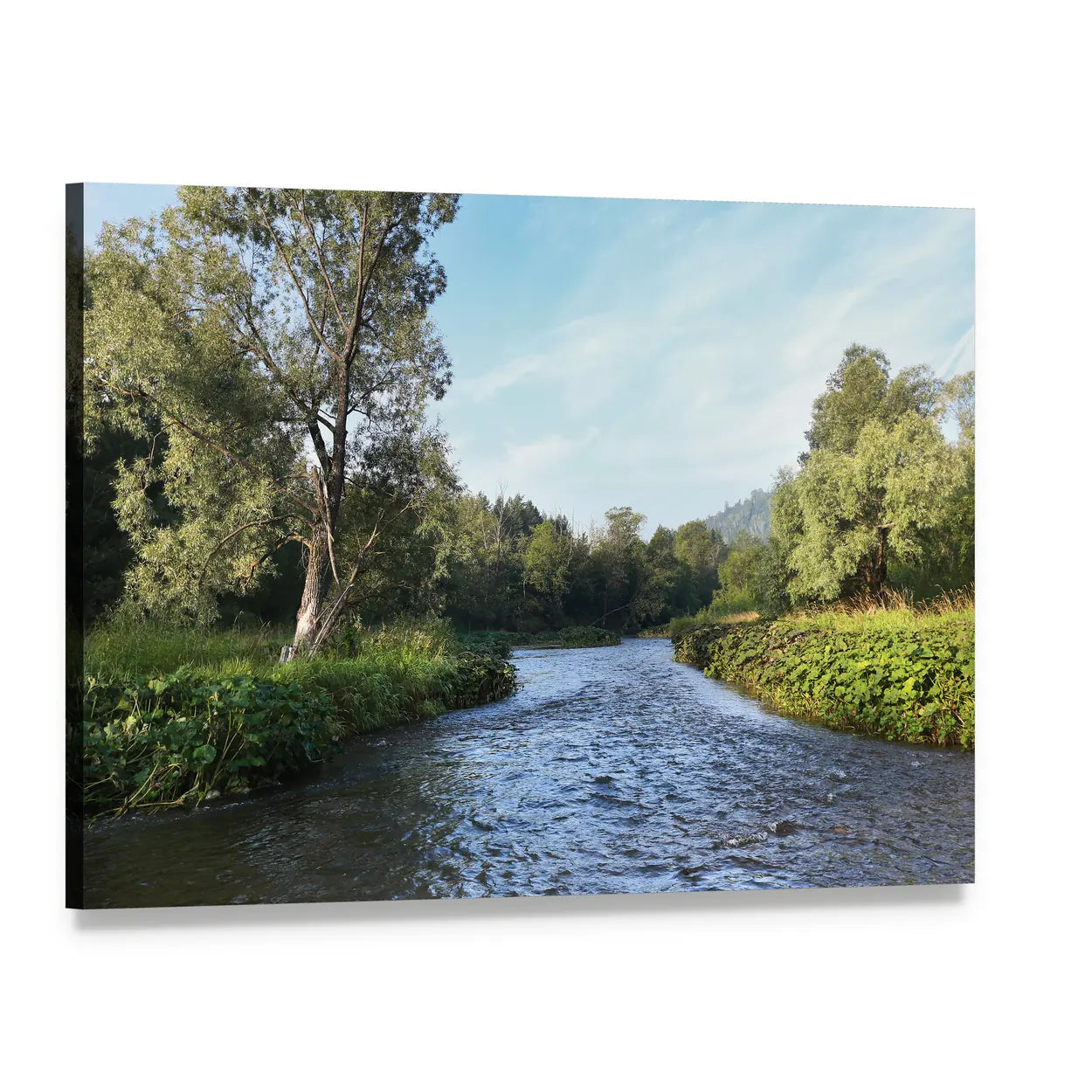 Misty Summer Morning on the River Canvas Wall Art, single panel gallery wrapped canvas, angled product view