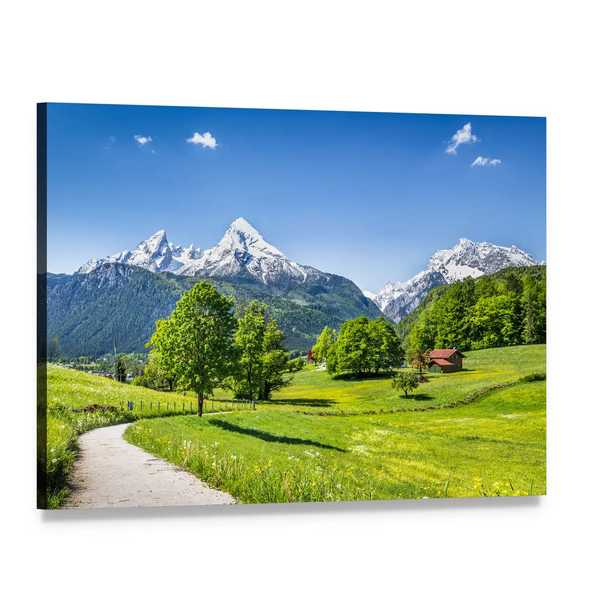 Summer Mountain Meadow with Red Roof Canvas Wall Art, single panel gallery wrapped canvas, angled product view