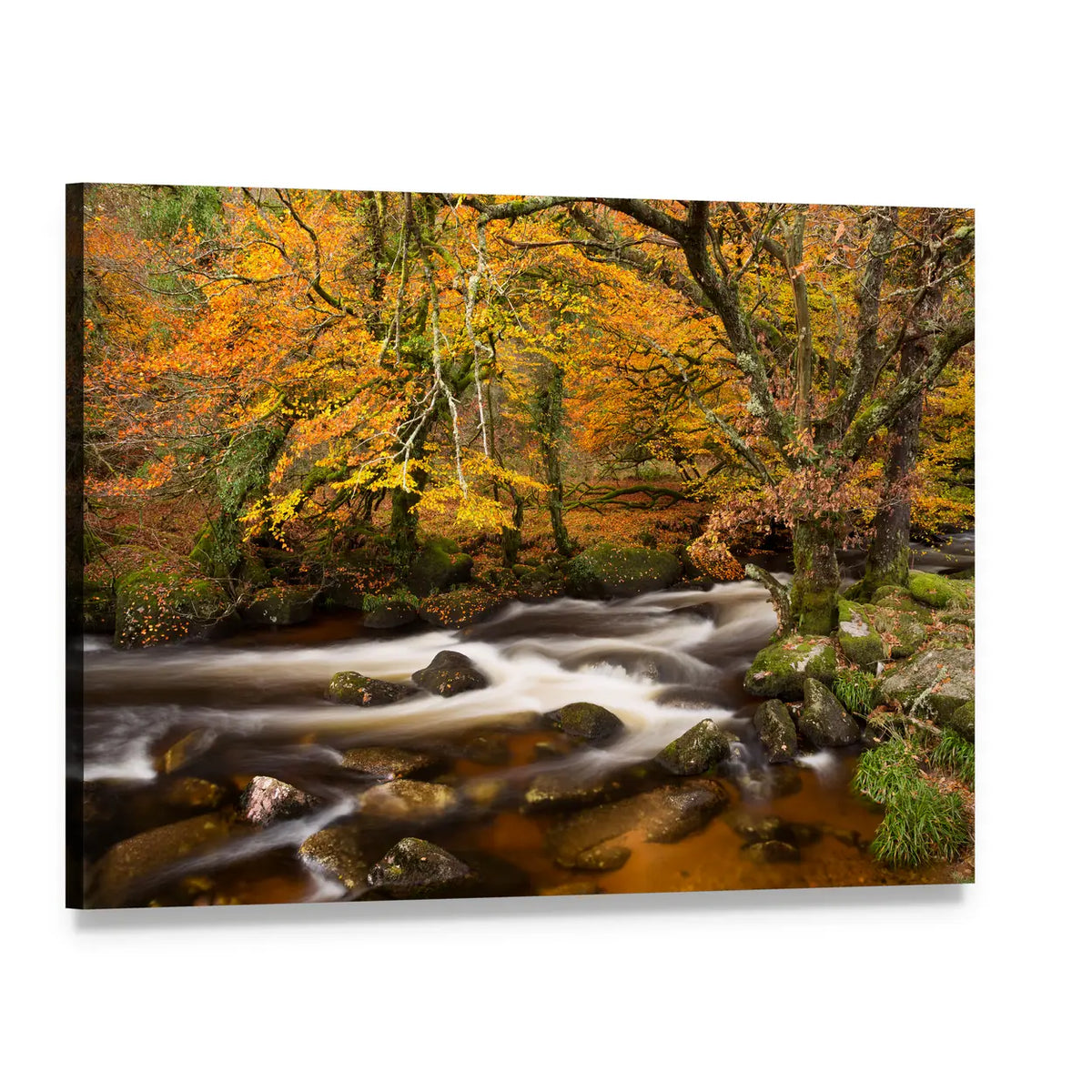 Autumn River in Dartmoor, Devon Canvas Wall Art, single panel gallery wrapped canvas, angled product view