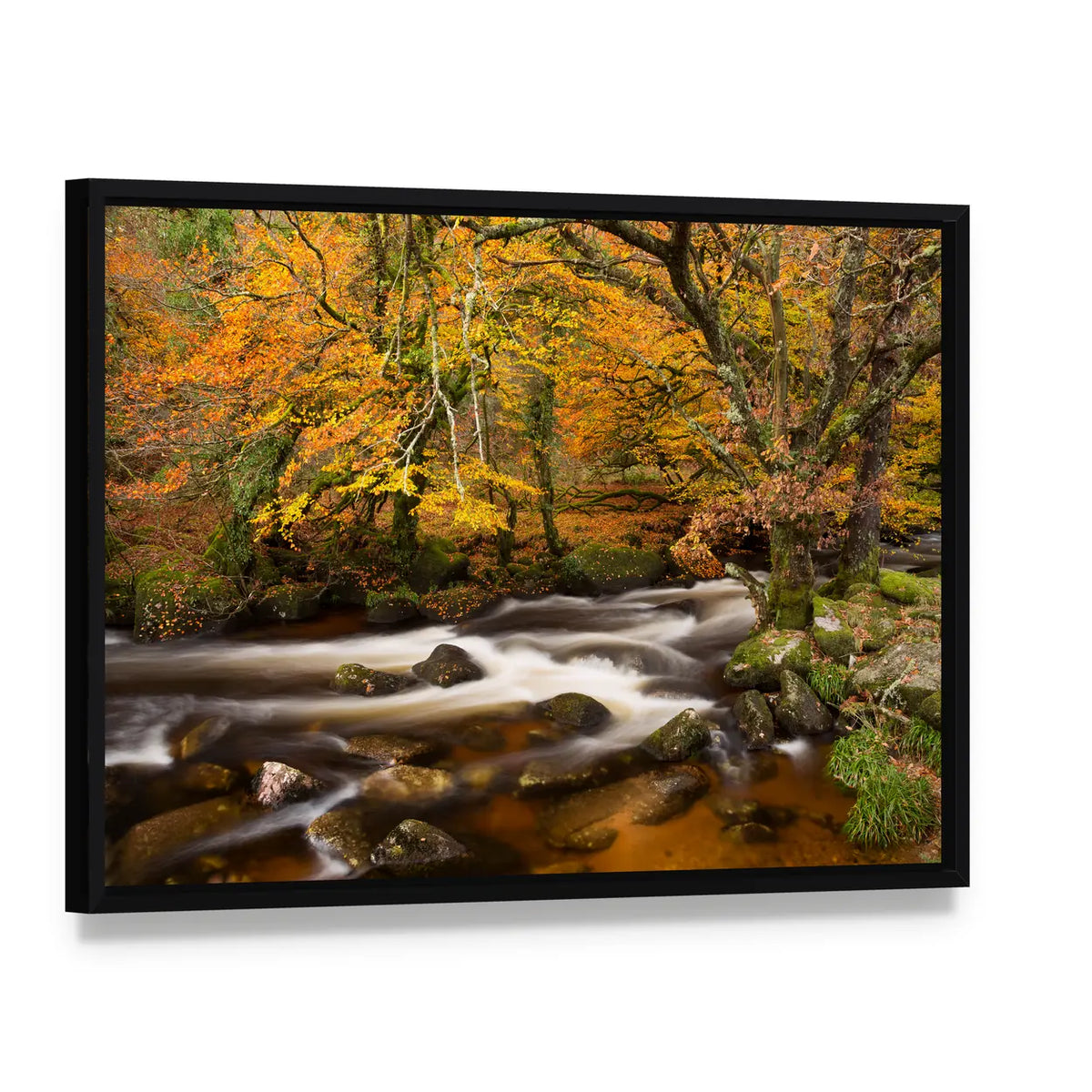 Autumn River in Dartmoor, Devon Canvas Wall Art, framed canvas in a black floater frame, angled product view