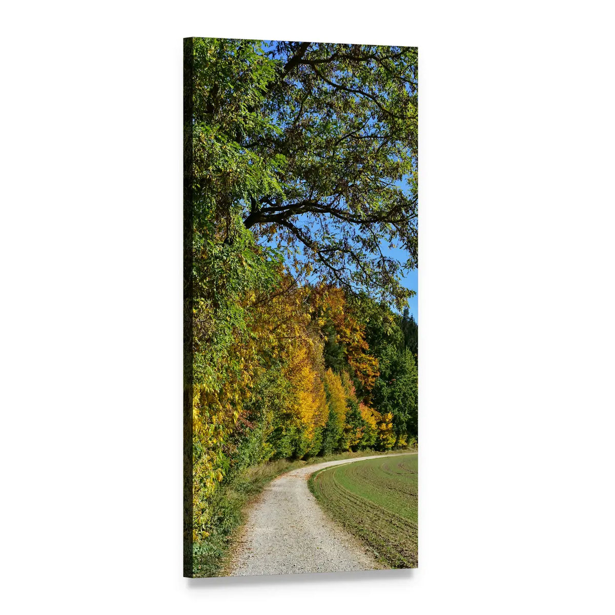 Country Road Through Autumn Forest Vertical Canvas Wall Art, 1 panel 1 Vertical layout gallery wrapped canvas set, angled product view