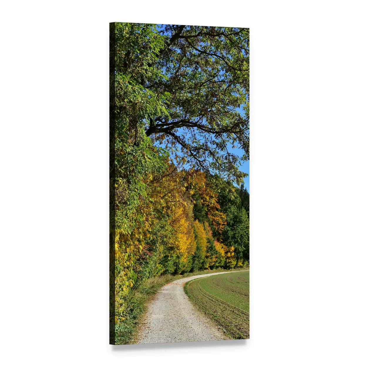 Country Road Through Autumn Forest Vertical Canvas Wall Art, 1 panel 1 Vertical layout gallery wrapped canvas set, angled product view