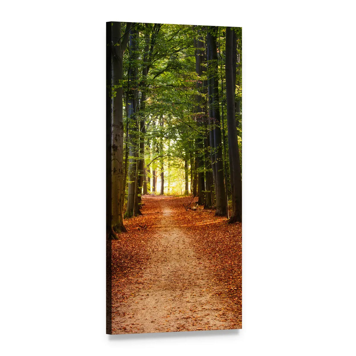 Autumn Forest Path Vertical Canvas Wall Art, 1 panel 1 Vertical layout gallery wrapped canvas set, angled product view