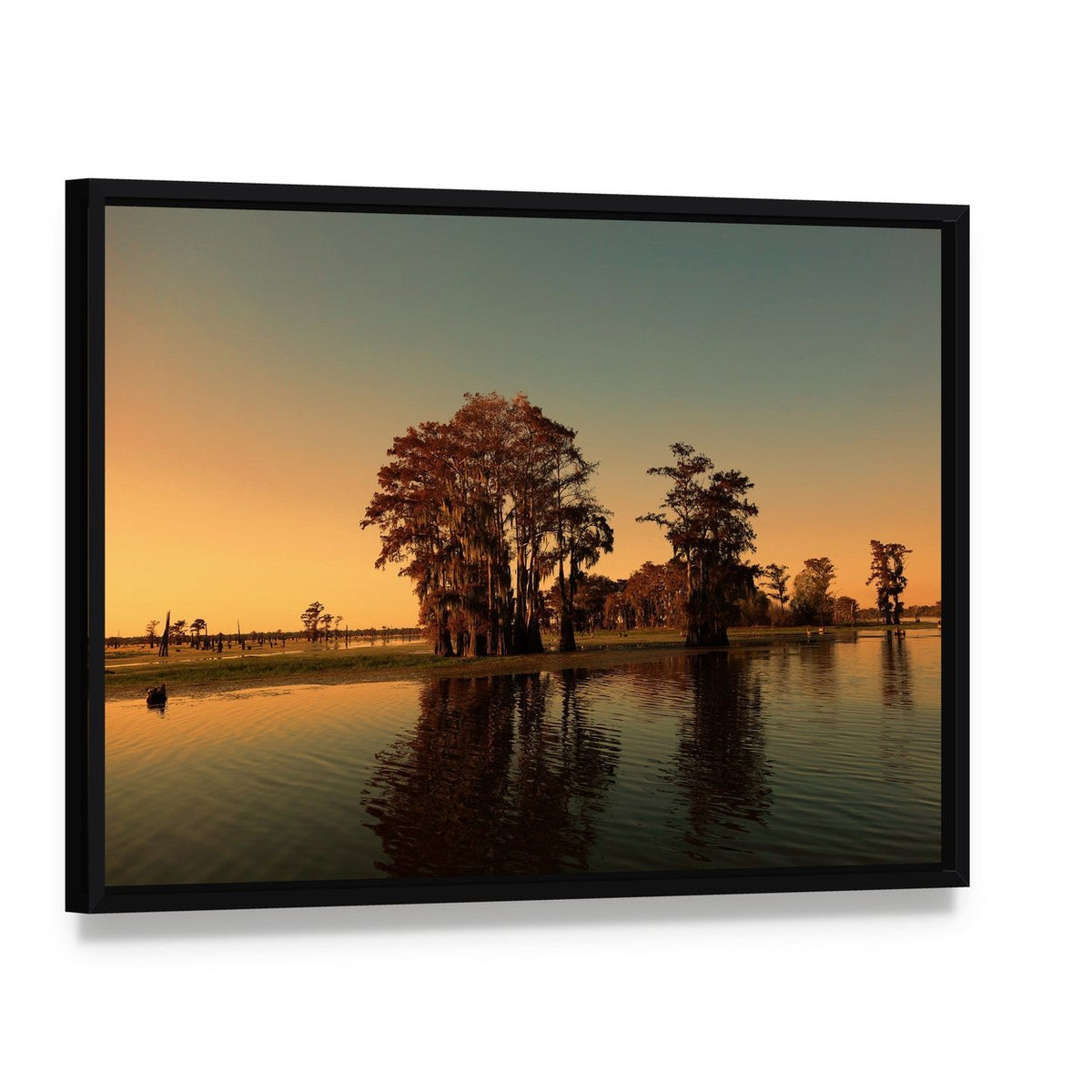 Bayou Cypress Trees at Sunset Canvas Wall Art, framed canvas in a black floater frame, angled product view
