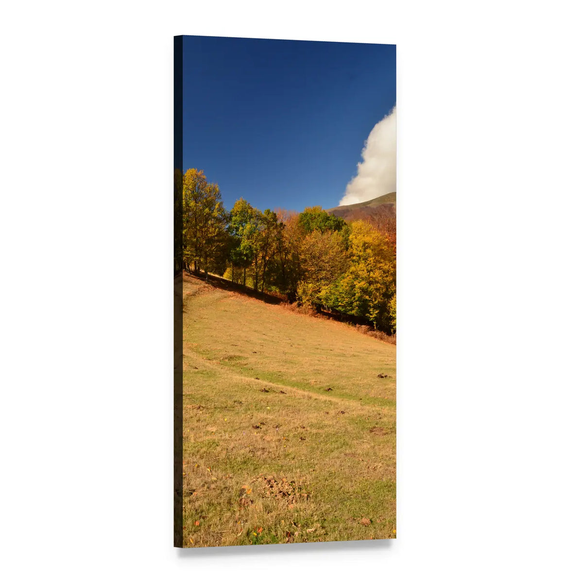 Grassy Hillside with Autumn Trees Vertical Canvas Wall Art, 1 panel 1 Vertical layout gallery wrapped canvas set, angled product view