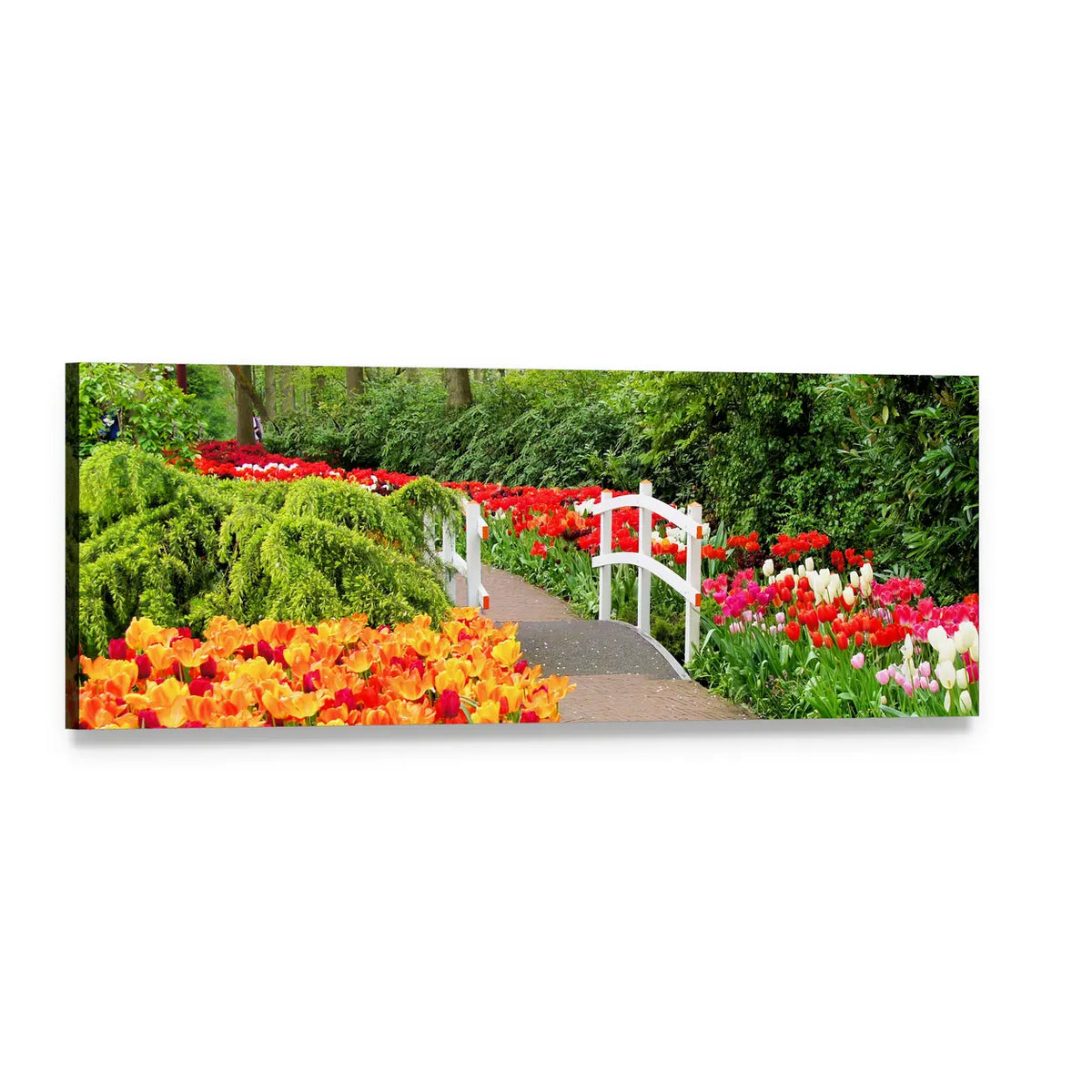 Tulip Garden with White Wooden Bridge Panoramic Canvas Wall Art, single panel gallery wrapped canvas, angled product view