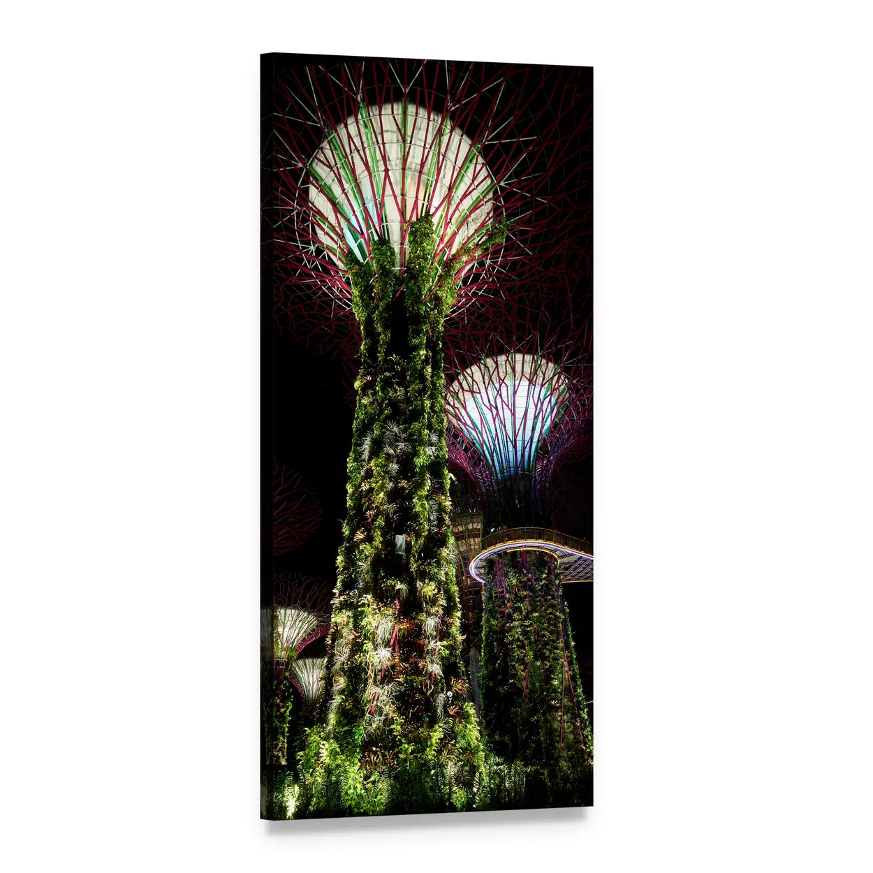 Supertree Grove at Night, Gardens by the Bay, Singapore Vertical Canvas Wall Art, 1 panel 1 Vertical layout gallery wrapped canvas set, angled product view