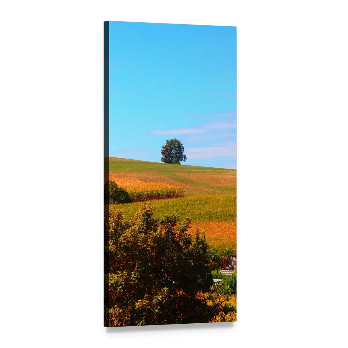 Lone Tree Over Autumn Fields Vertical Canvas Wall Art, 1 panel 1 Vertical layout gallery wrapped canvas set, angled product view