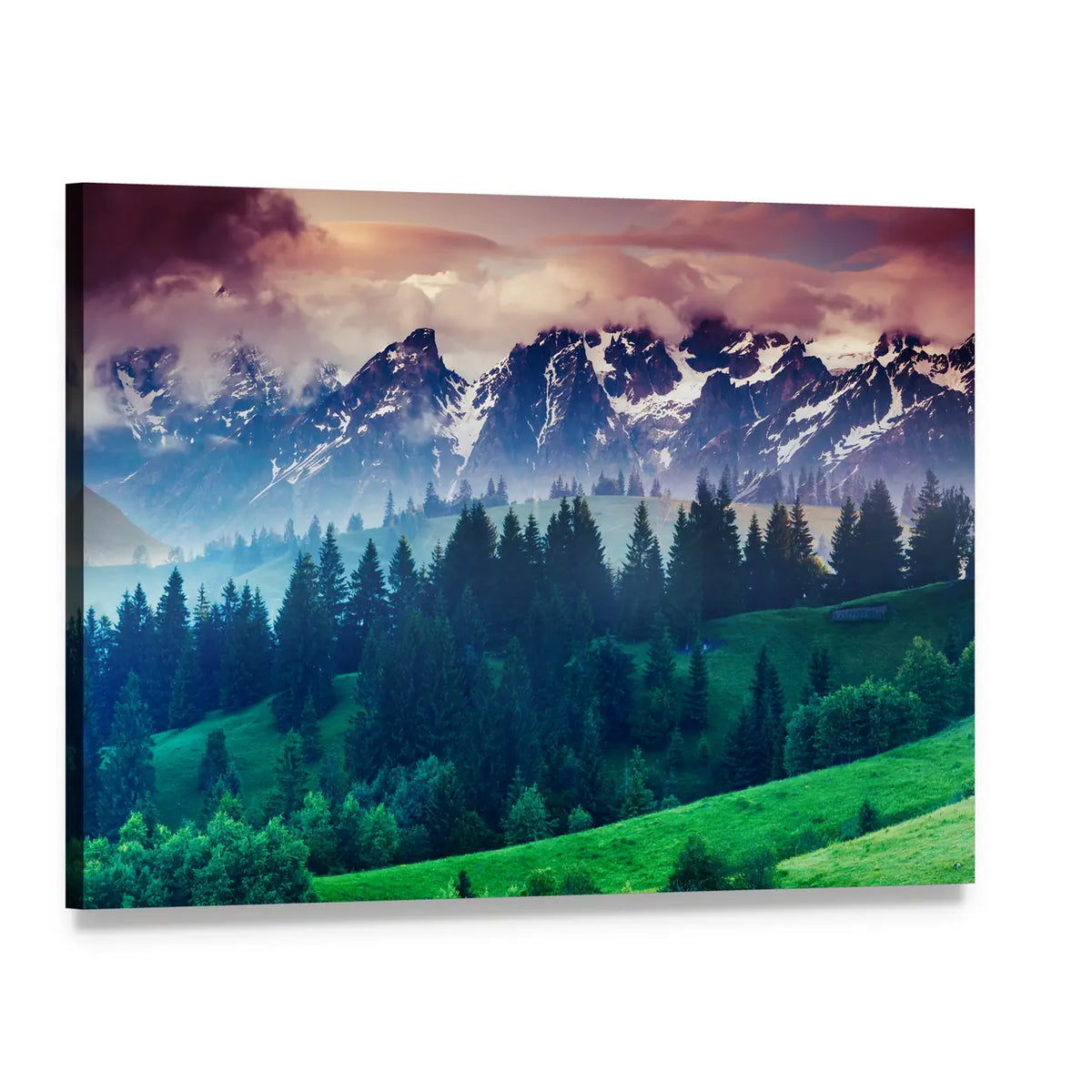 Alpine Meadows with Snow-capped Peaks Canvas Wall Art, single panel gallery wrapped canvas, angled product view
