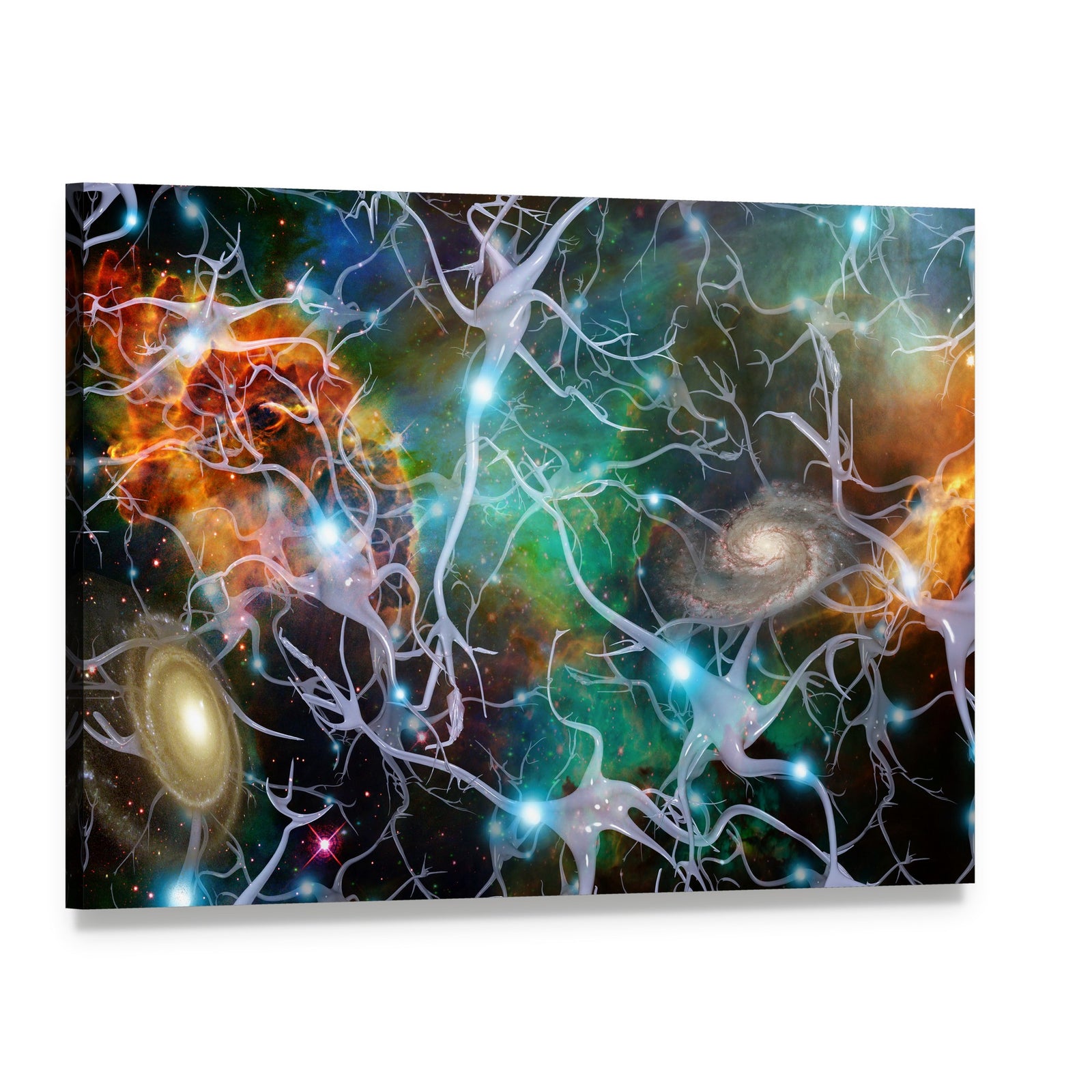 Brain Cells Canvas Wall Art, single panel gallery wrapped canvas, angled product view