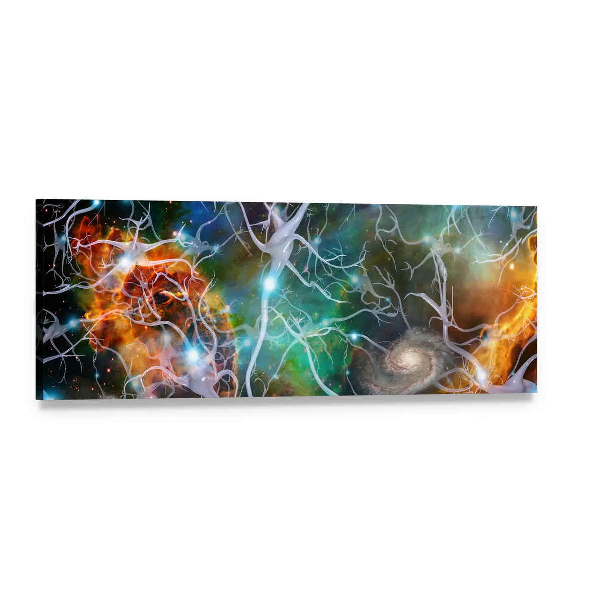 Brain Cells and Spiral Galaxy Panoramic Canvas Wall Art, single panel gallery wrapped canvas, angled product view