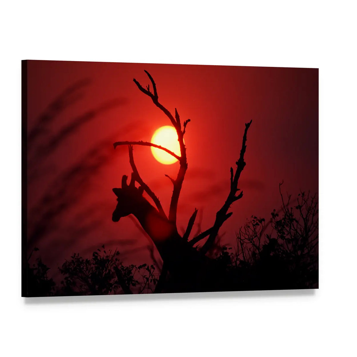 An African Sunset In Mikumi Forest Tanzania Canvas Wall Art, single panel gallery wrapped canvas, angled product view