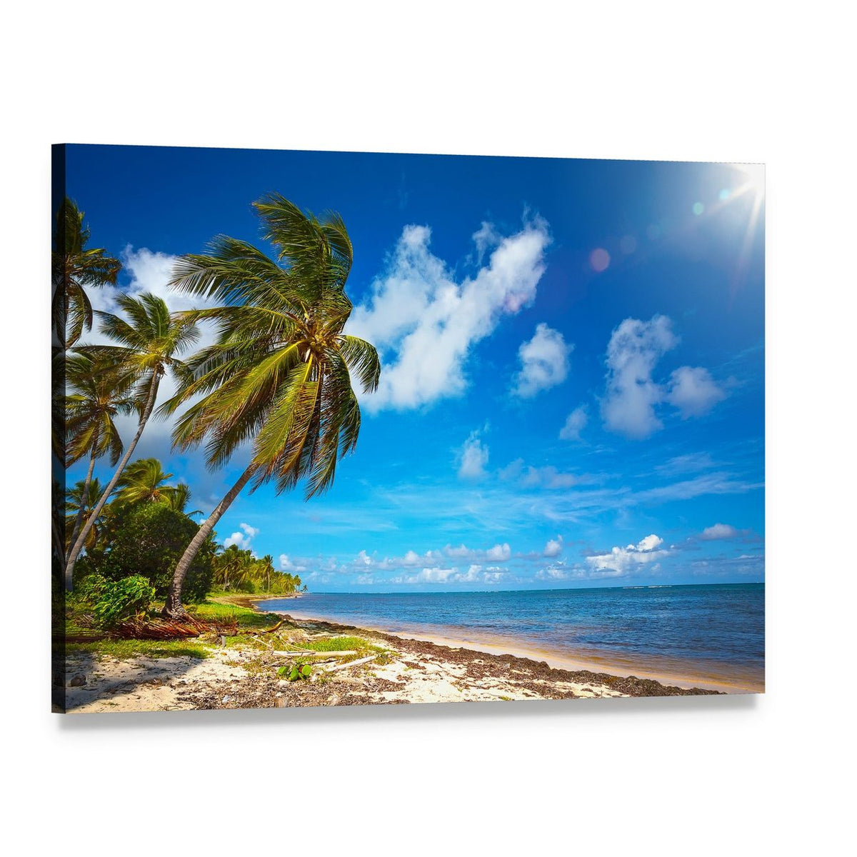 Tropical Beach View Under Blue Sky Canvas Wall Art, single panel gallery wrapped canvas, angled product view