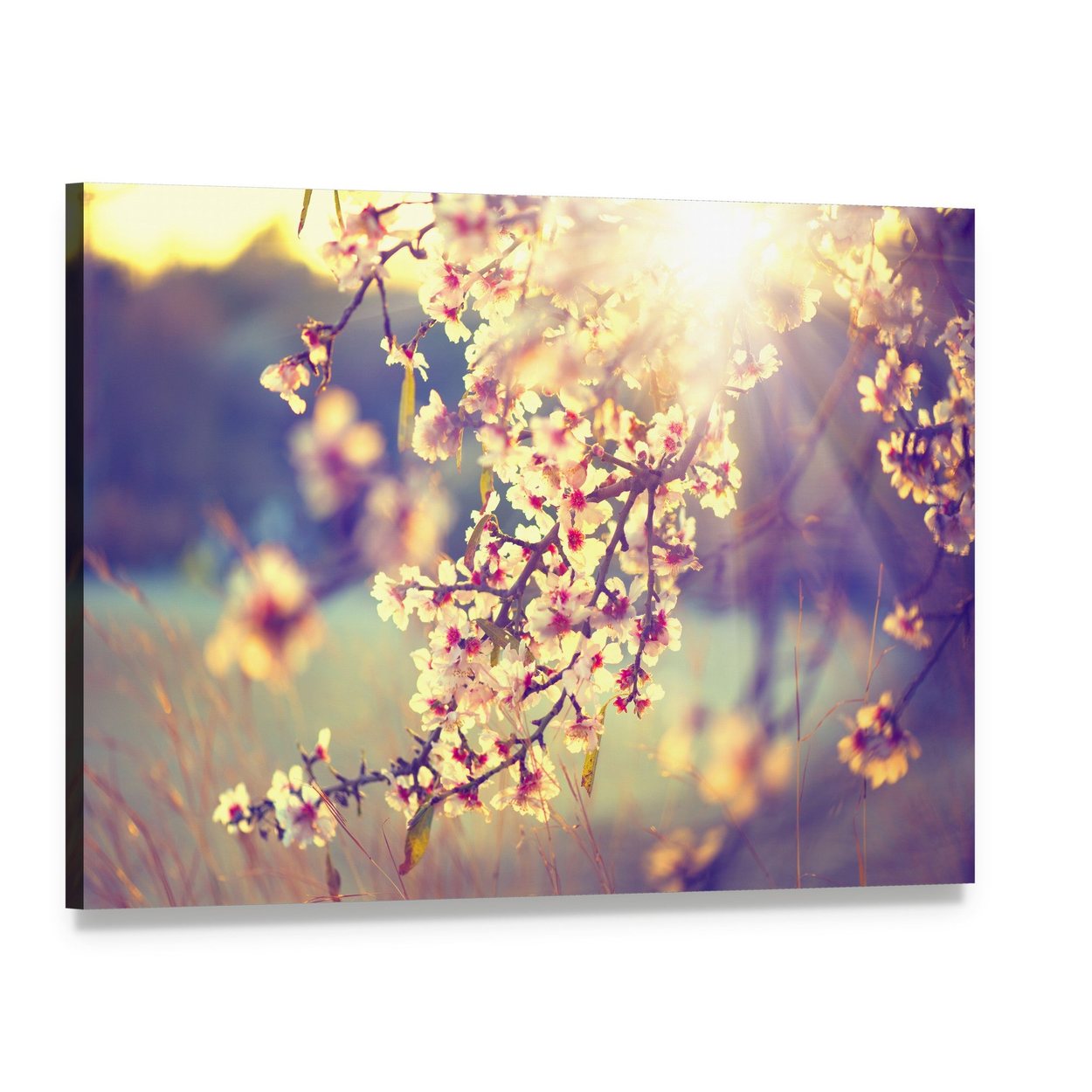 Blooming Tree & Sun Flare Canvas Wall Art, single panel gallery wrapped canvas, angled product view