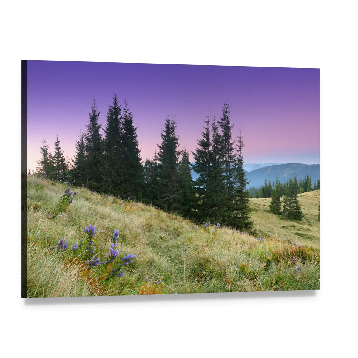 Mountain Landscape with Purple Wildflowers Canvas Wall Art, single panel gallery wrapped canvas, angled product view