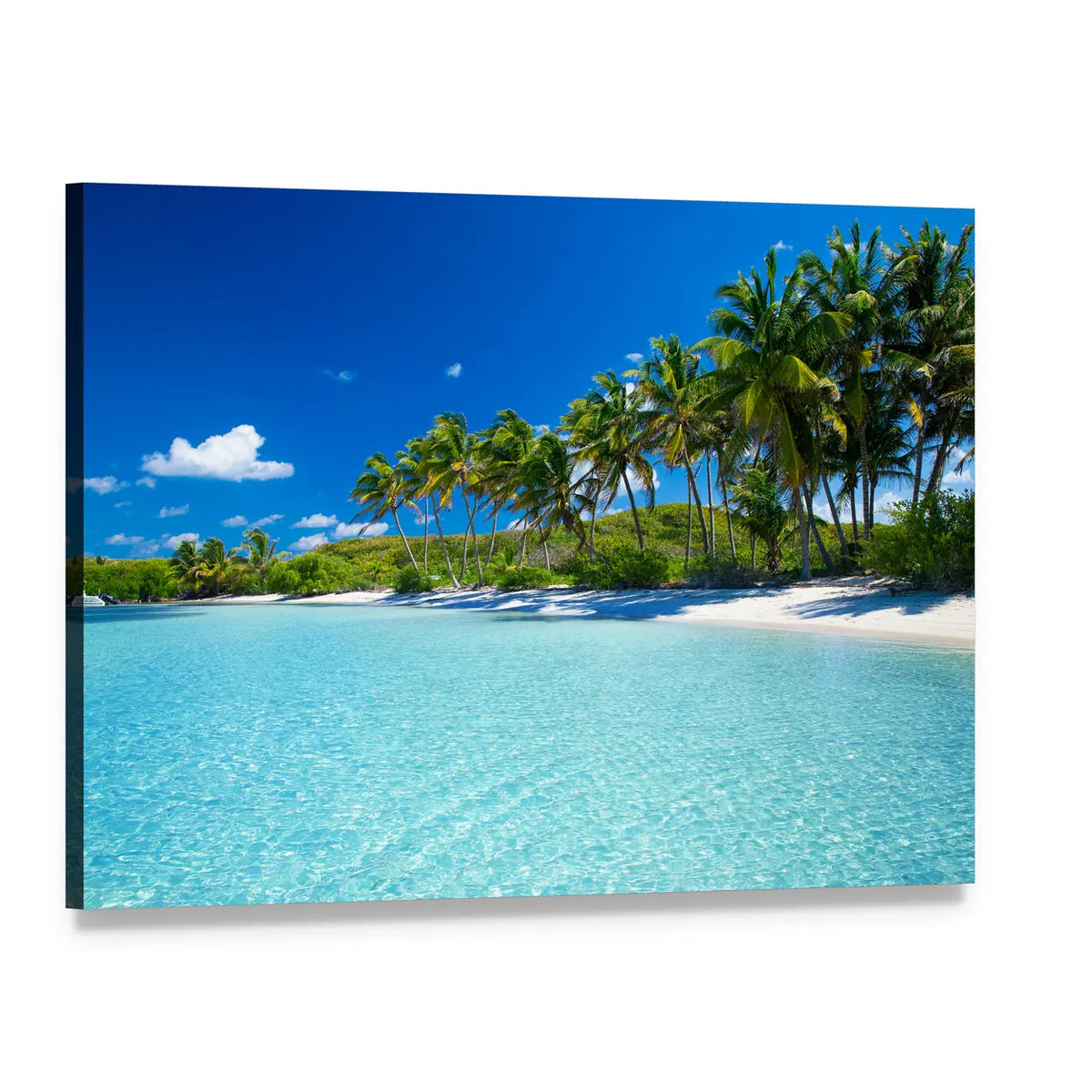 Palm Trees on Turquoise Tropical Beach Canvas Wall Art, single panel gallery wrapped canvas, angled product view