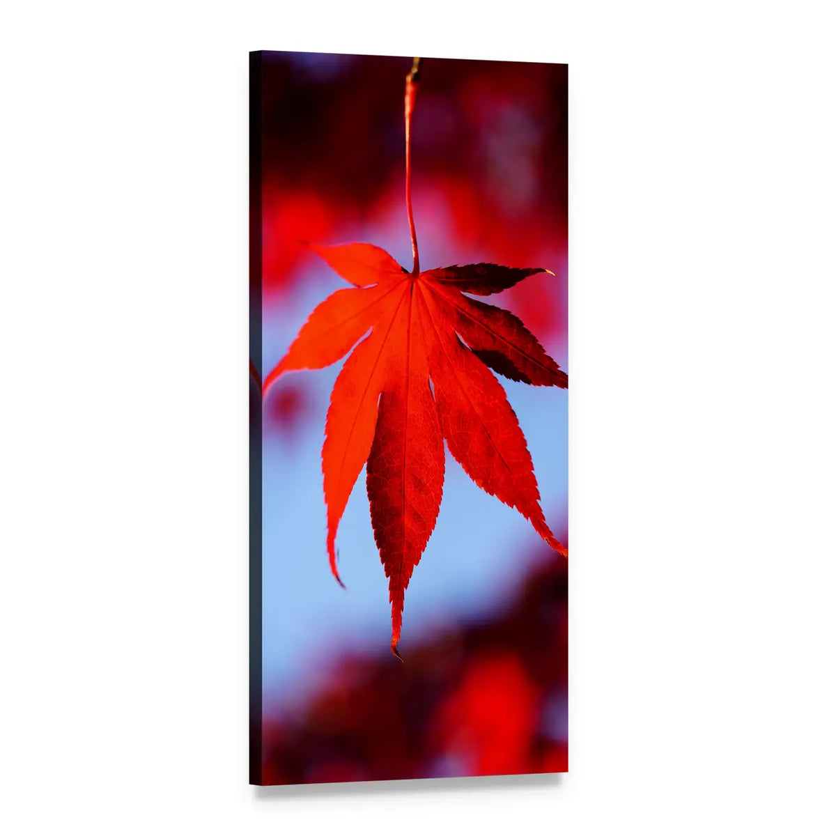 Autumn Maple Leaf Close-up Vertical Canvas Wall Art, 1 panel 1 Vertical layout gallery wrapped canvas set, angled product view