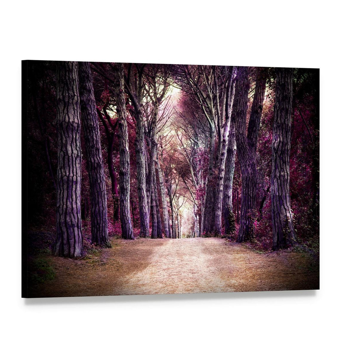 Enchanted Forest Path with Purple Foliage Canvas Wall Art, single panel gallery wrapped canvas, angled product view