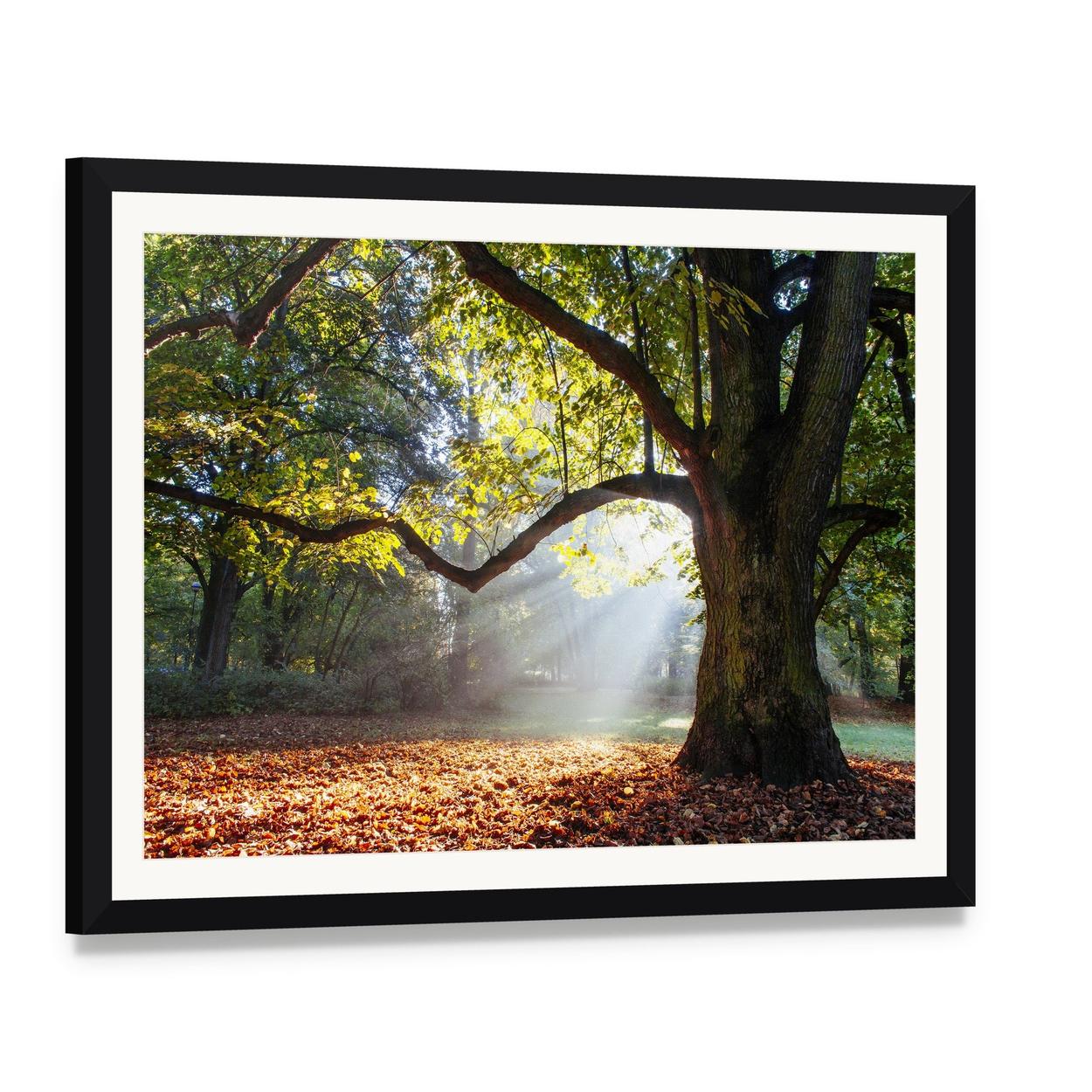 Serene Oak Tree in Autumn Light Canvas Wall Art, framed print with white mat and black frame, angled product view