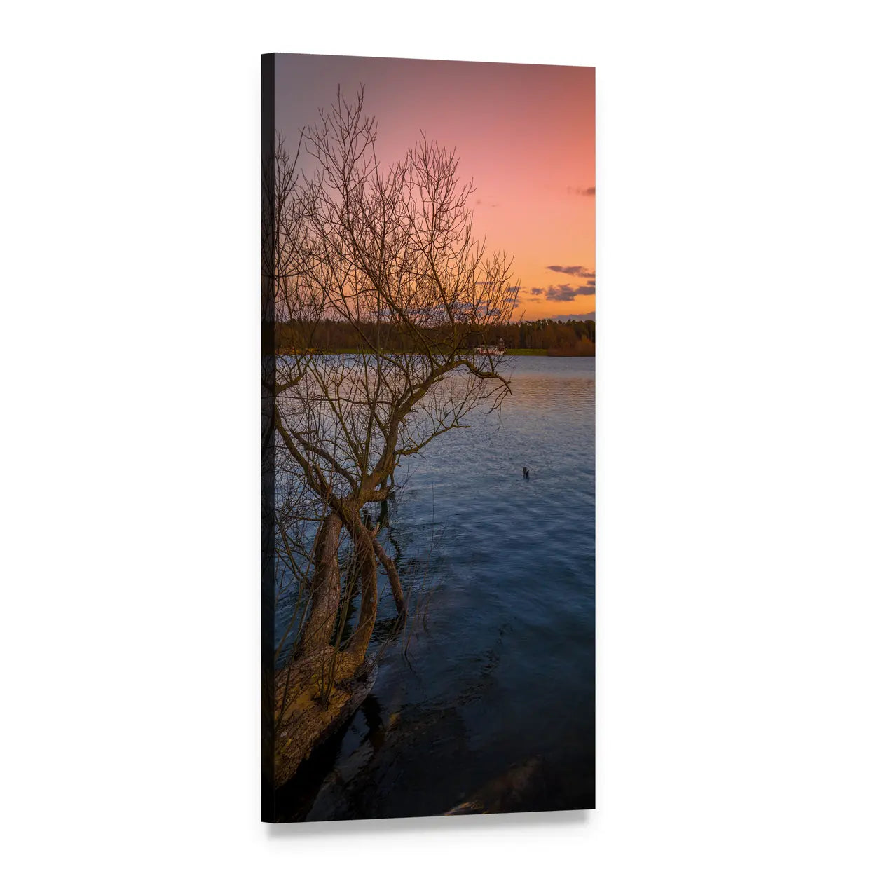 Sunset Lake with Silhouetted Tree Vertical Canvas Wall Art, 1 panel 1 Vertical layout gallery wrapped canvas set, angled product view