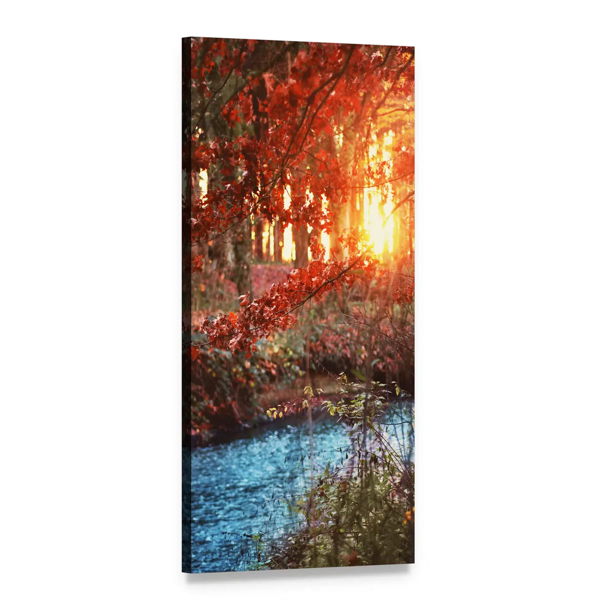 Bach Forest at Sunset Vertical Canvas Wall Art, 1 panel 1 Vertical layout gallery wrapped canvas set, angled product view