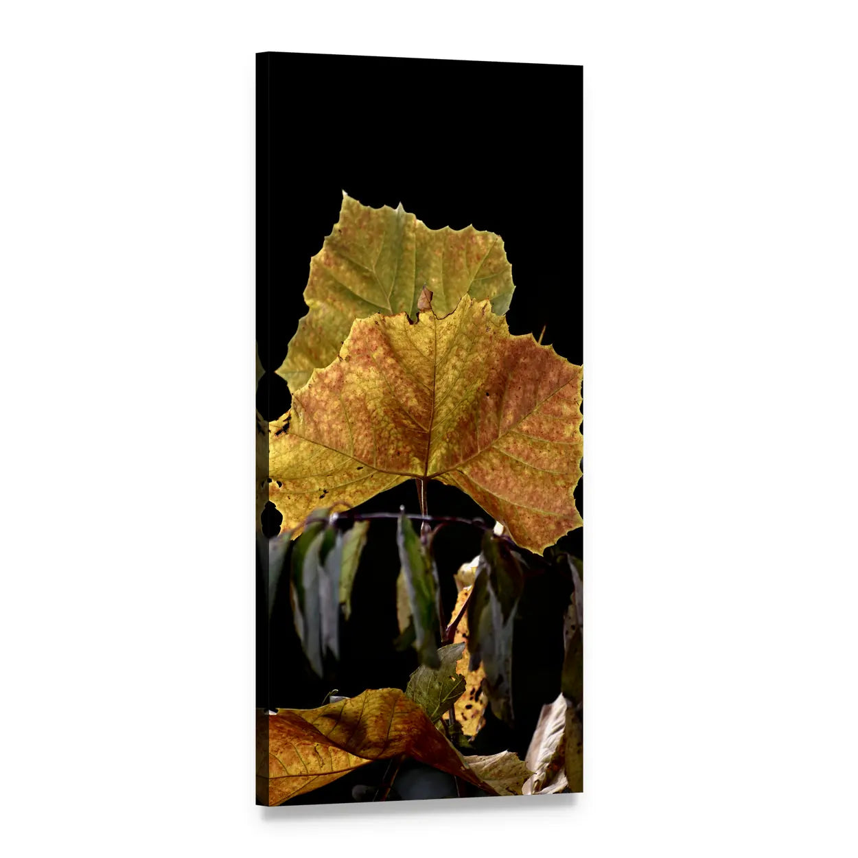 Textured Autumn Leaves Close-up Vertical Canvas Wall Art, 1 panel 1 Vertical layout gallery wrapped canvas set, angled product view