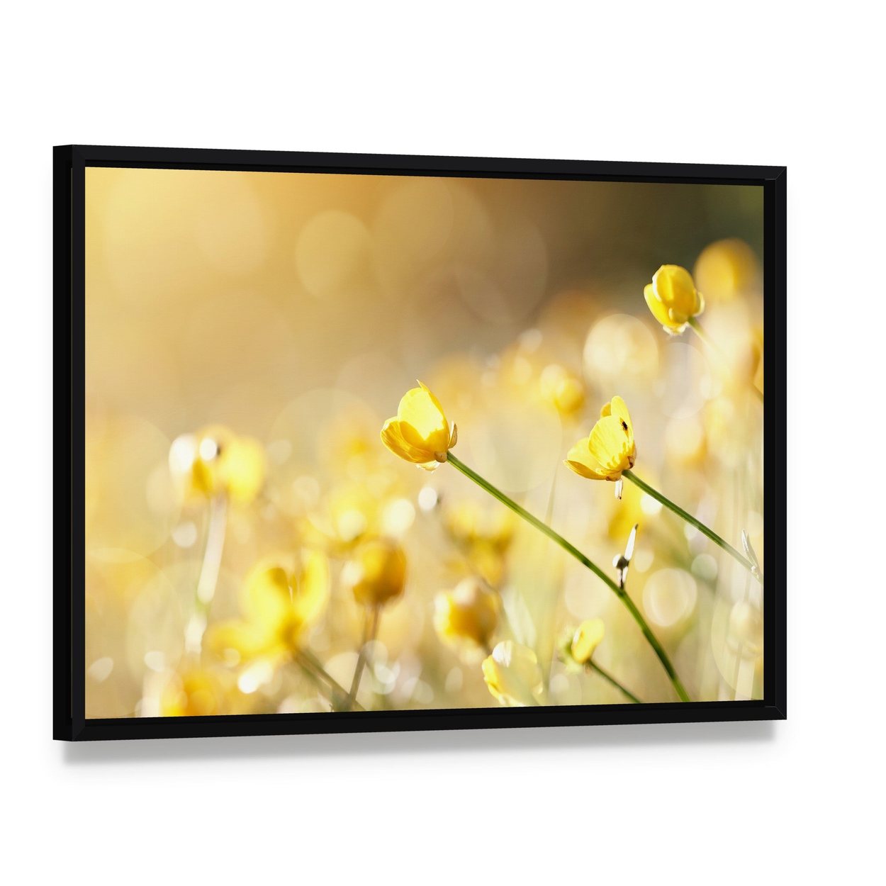 Yellow Flowers of a Buttercup Lit with the Sun Canvas Wall Art, framed canvas in a black floater frame, angled product view