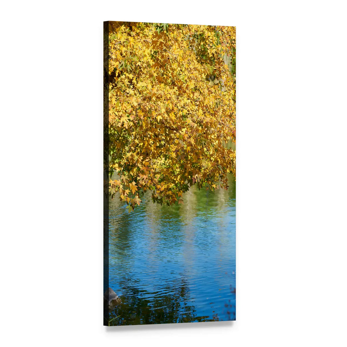 Golden Maple Leaves Over Blue Water Vertical Canvas Wall Art, 1 panel 1 Vertical layout gallery wrapped canvas set, angled product view