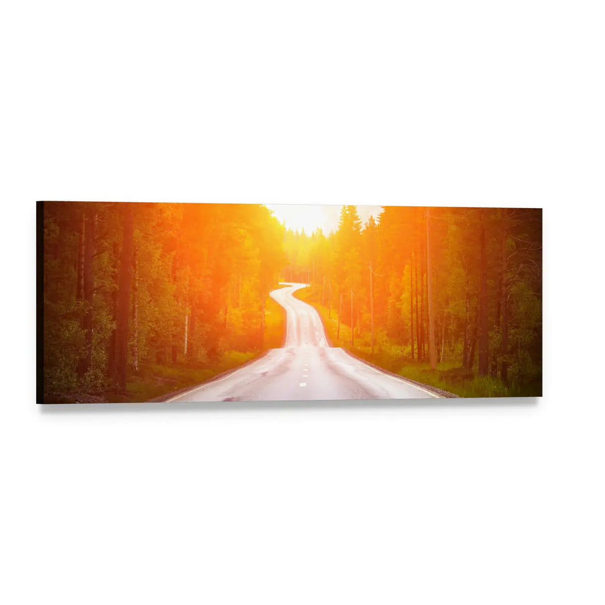 Sunlit Country Road in Sweden Panoramic Canvas Wall Art, single panel gallery wrapped canvas, angled product view