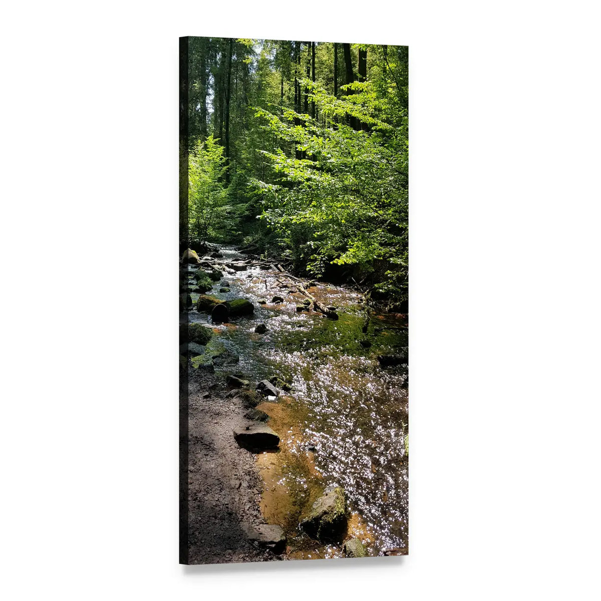 Palatinate Forest Creek Vertical Canvas Wall Art, 1 panel 1 Vertical layout gallery wrapped canvas set, angled product view