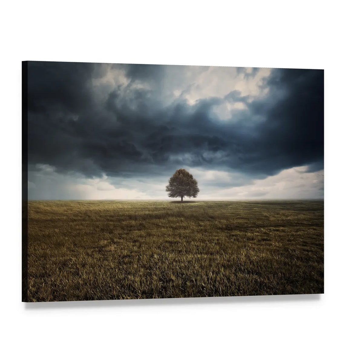 Tree in Field Under Storm Clouds Canvas Wall Art, single panel gallery wrapped canvas, angled product view
