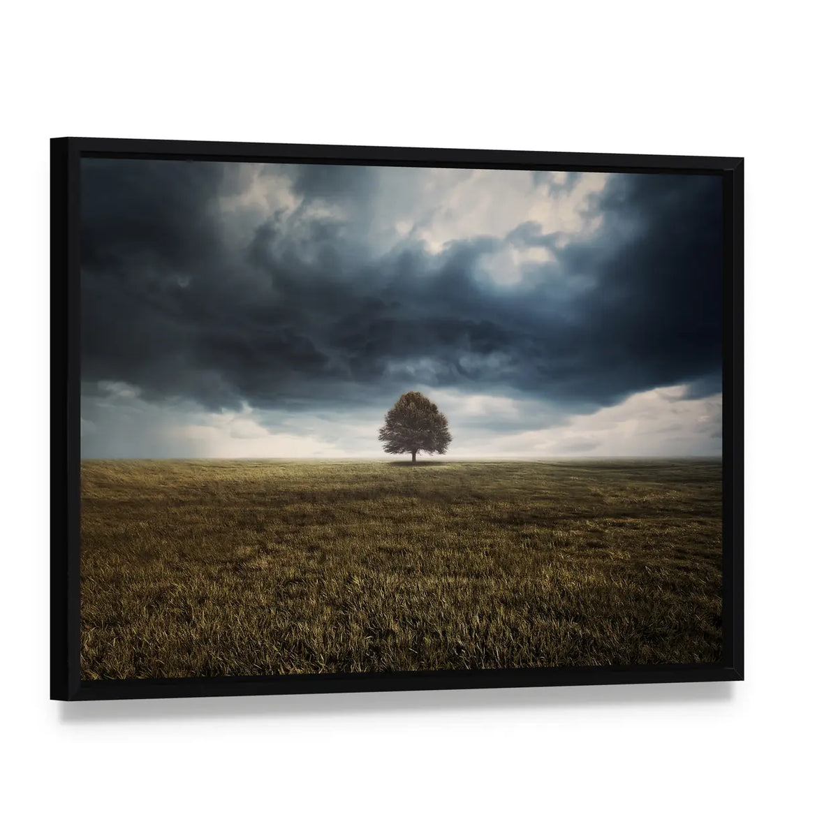 Tree in Field Under Storm Clouds Canvas Wall Art, framed canvas in a black floater frame, angled product view