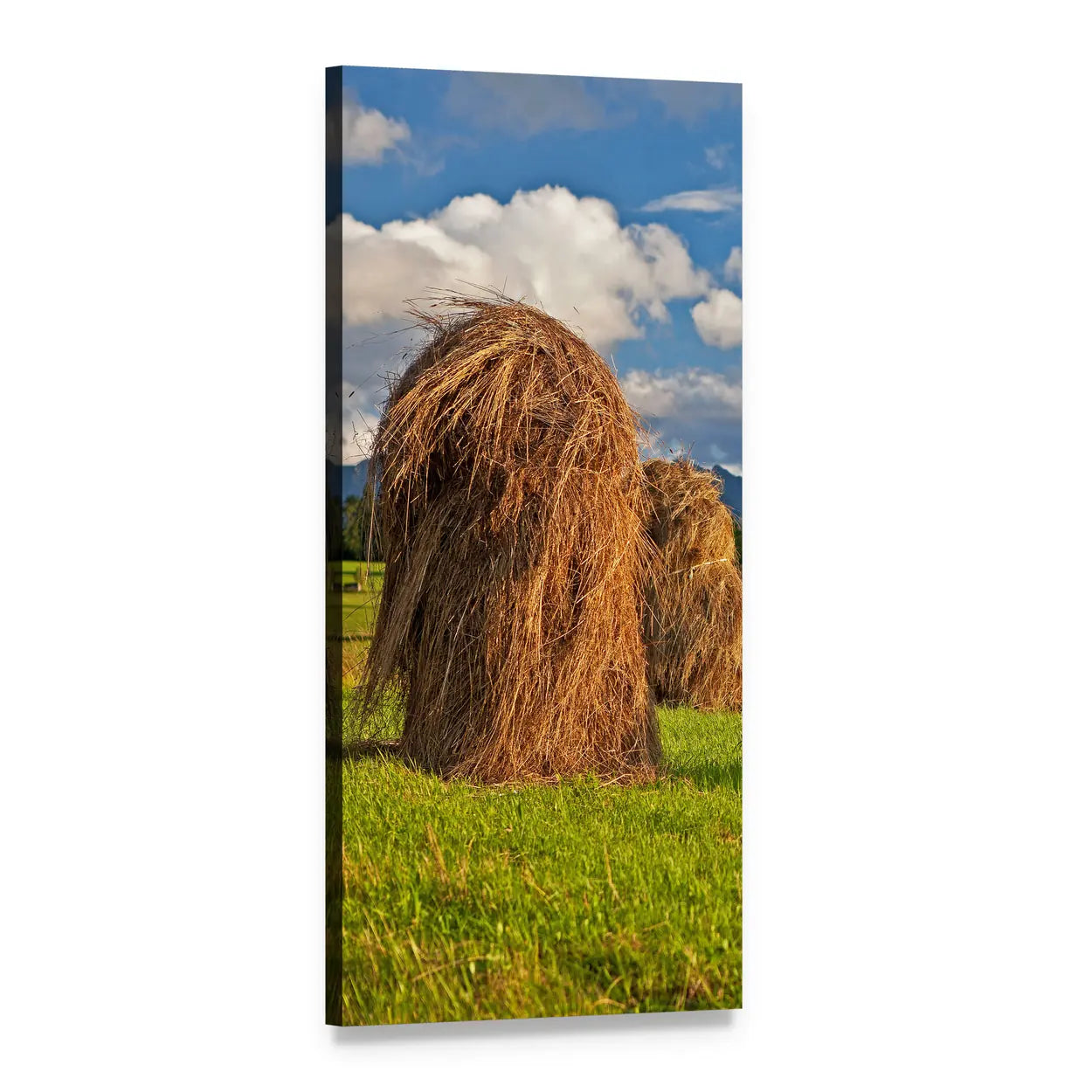 Meadow Field in Poland Vertical Canvas Wall Art, 1 panel 1 Vertical layout gallery wrapped canvas set, angled product view