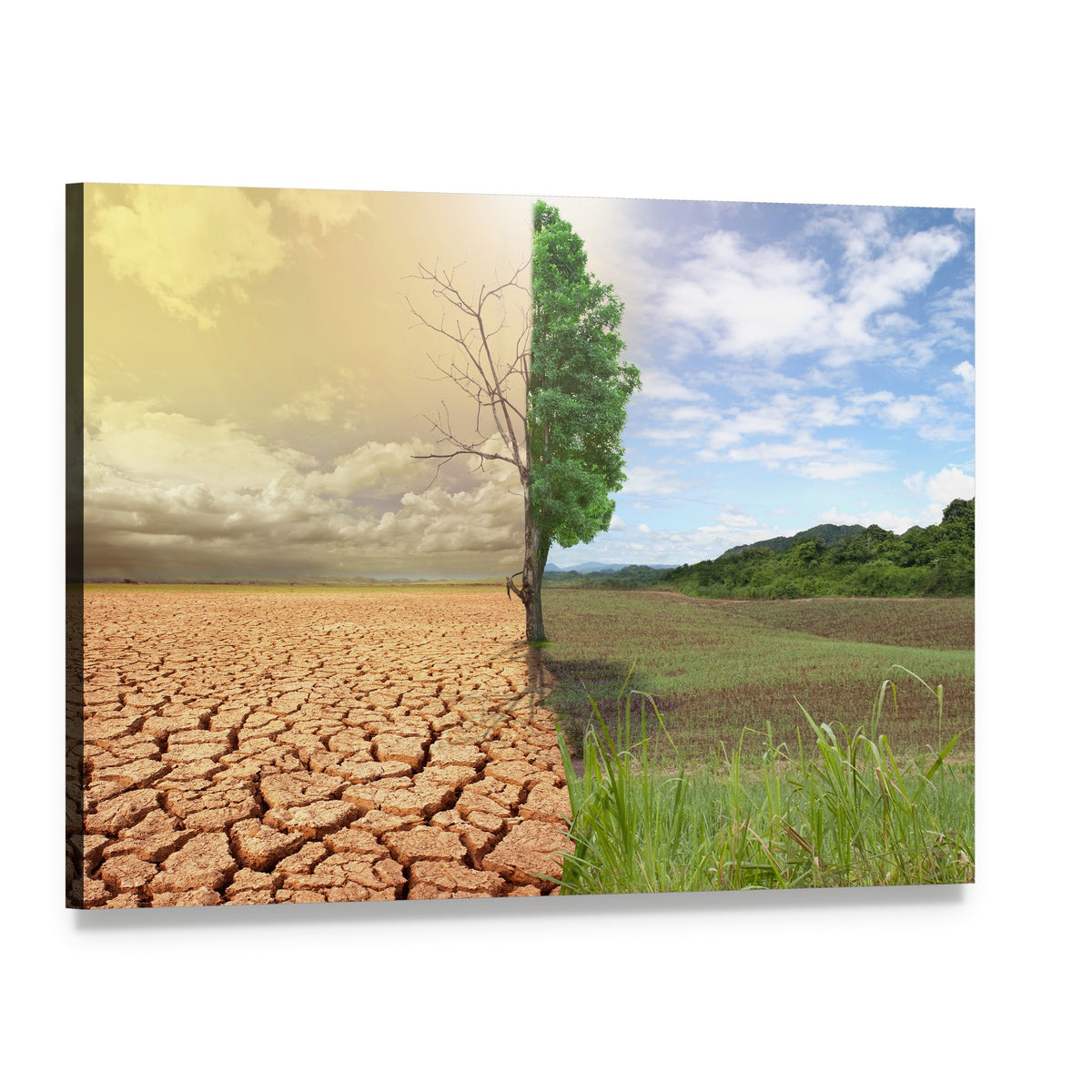 Contrasting Seasons in Nature Canvas Wall Art, single panel gallery wrapped canvas, angled product view