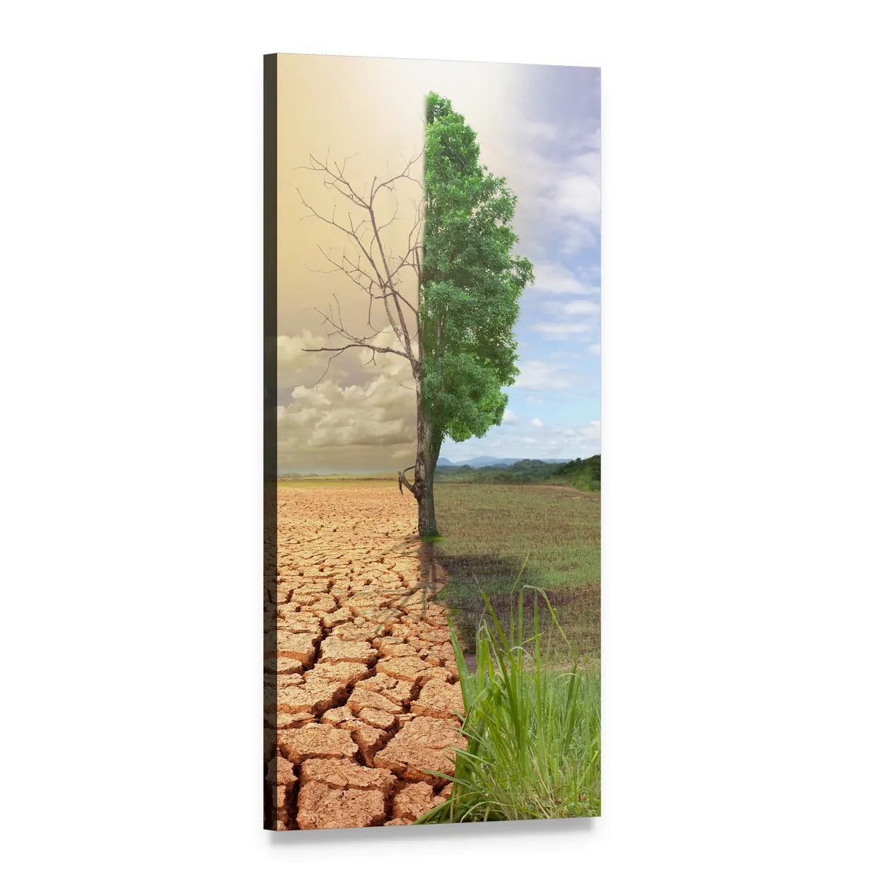 Two-season Tree Concept Vertical Canvas Wall Art, 1 panel 1 Vertical layout gallery wrapped canvas set, angled product view