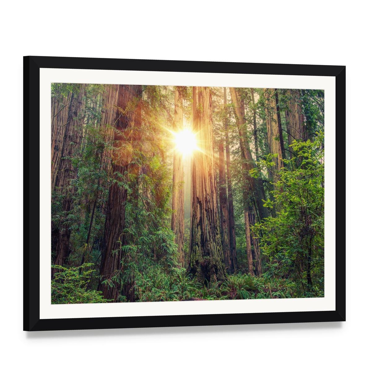 Sunlight Through California Redwood Forest Canvas Wall Art, framed print with white mat and black frame, angled product view