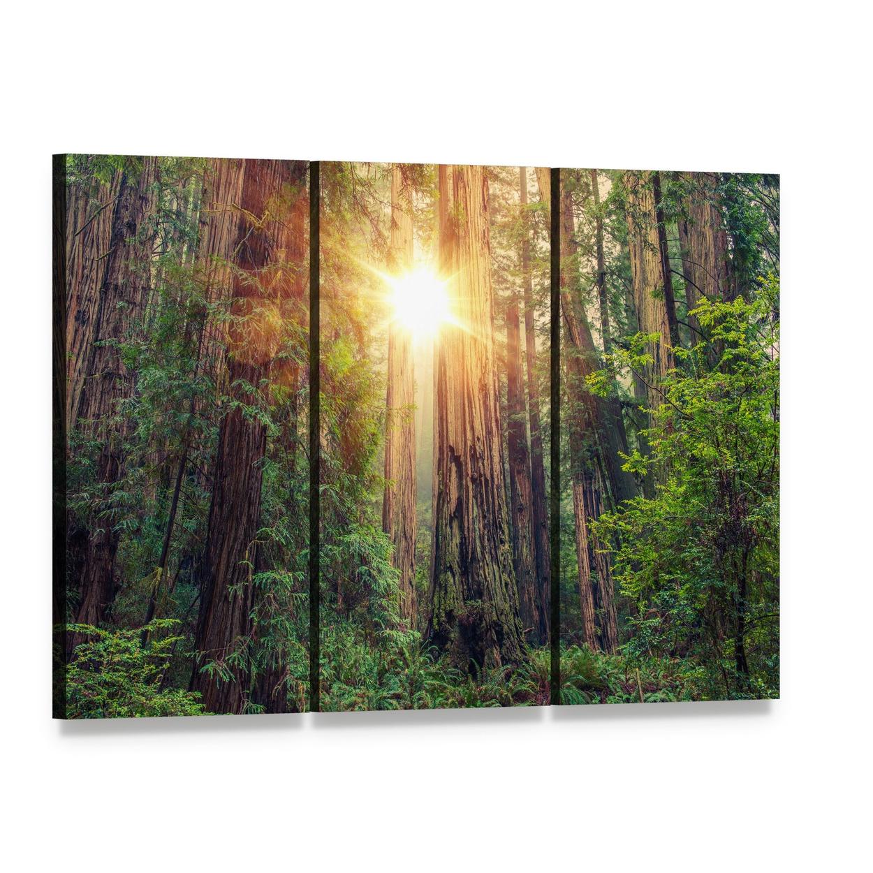 Sunlight Through California Redwood Forest Canvas Wall Art, 3 panel 3 Horizontal layout gallery wrapped canvas set, angled product view