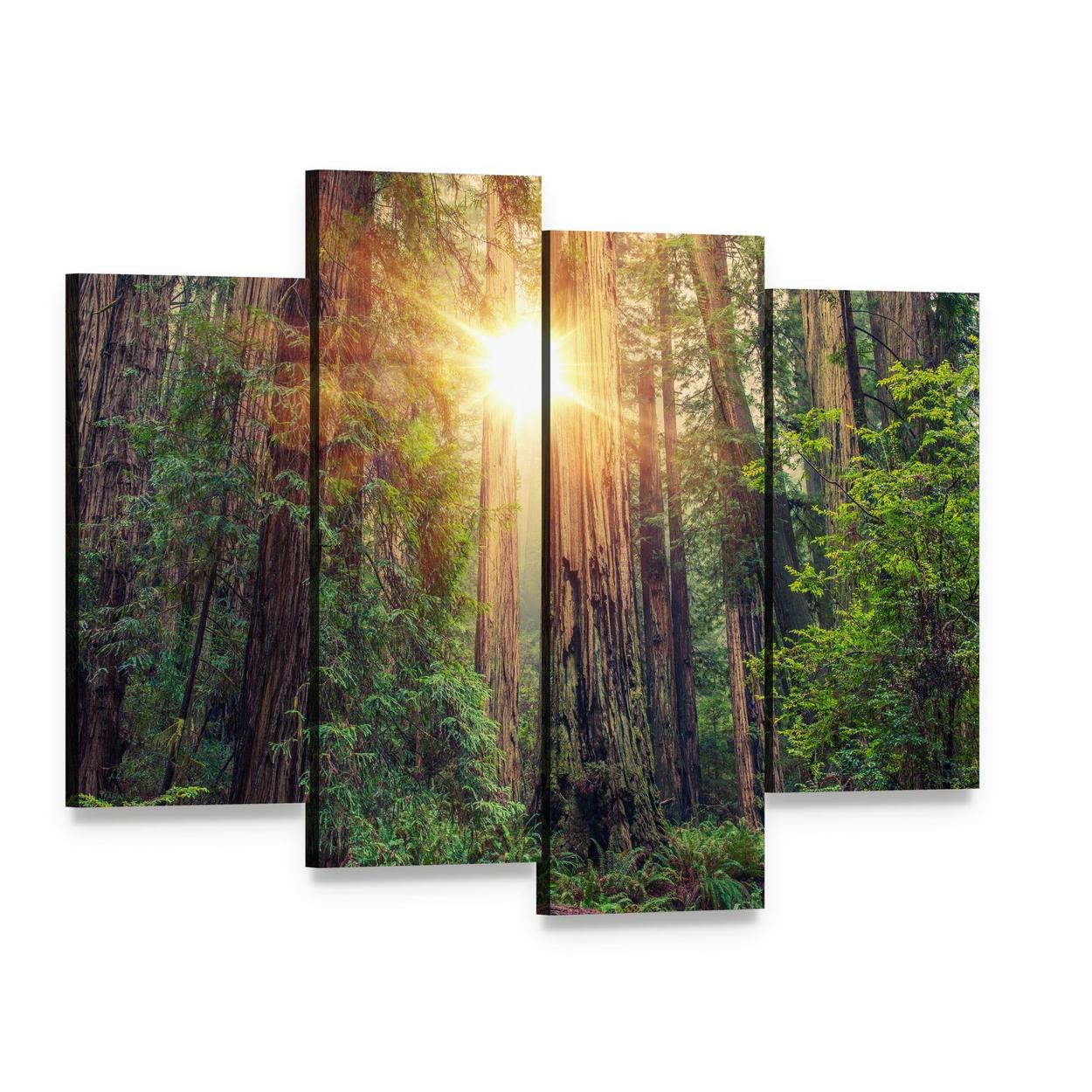 Sunlight Through California Redwood Forest Canvas Wall Art, 4 panel 4 Pop layout gallery wrapped canvas set, angled product view