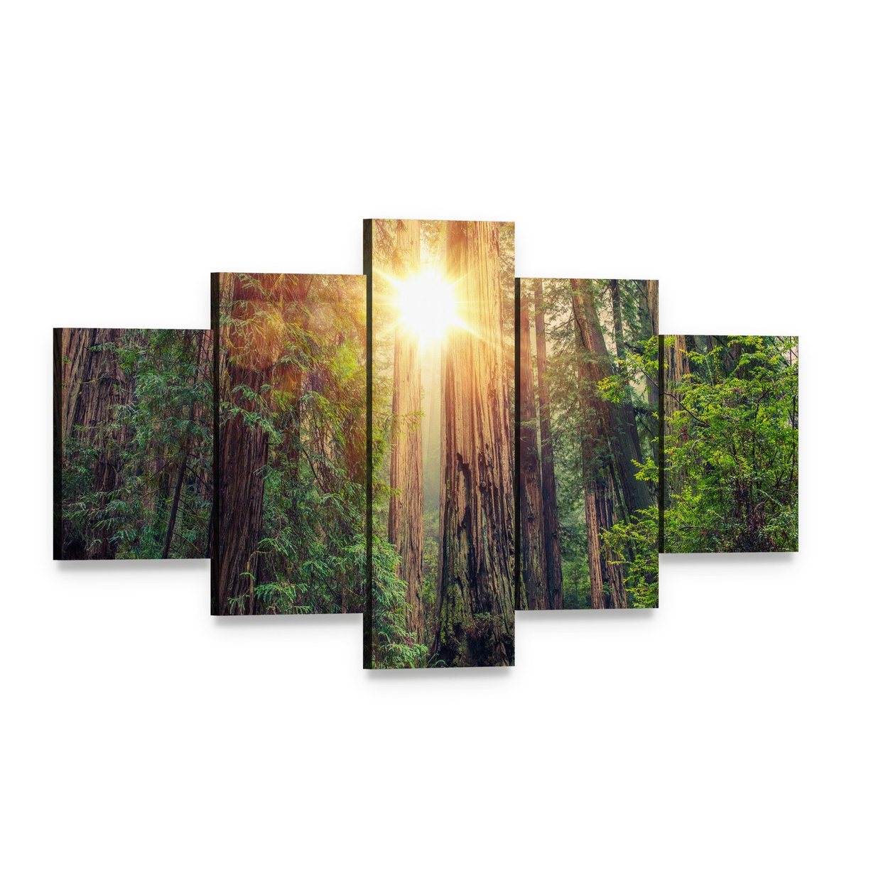 Sunlight Through California Redwood Forest Canvas Wall Art, 5 panel 5 Star layout gallery wrapped canvas set, angled product view
