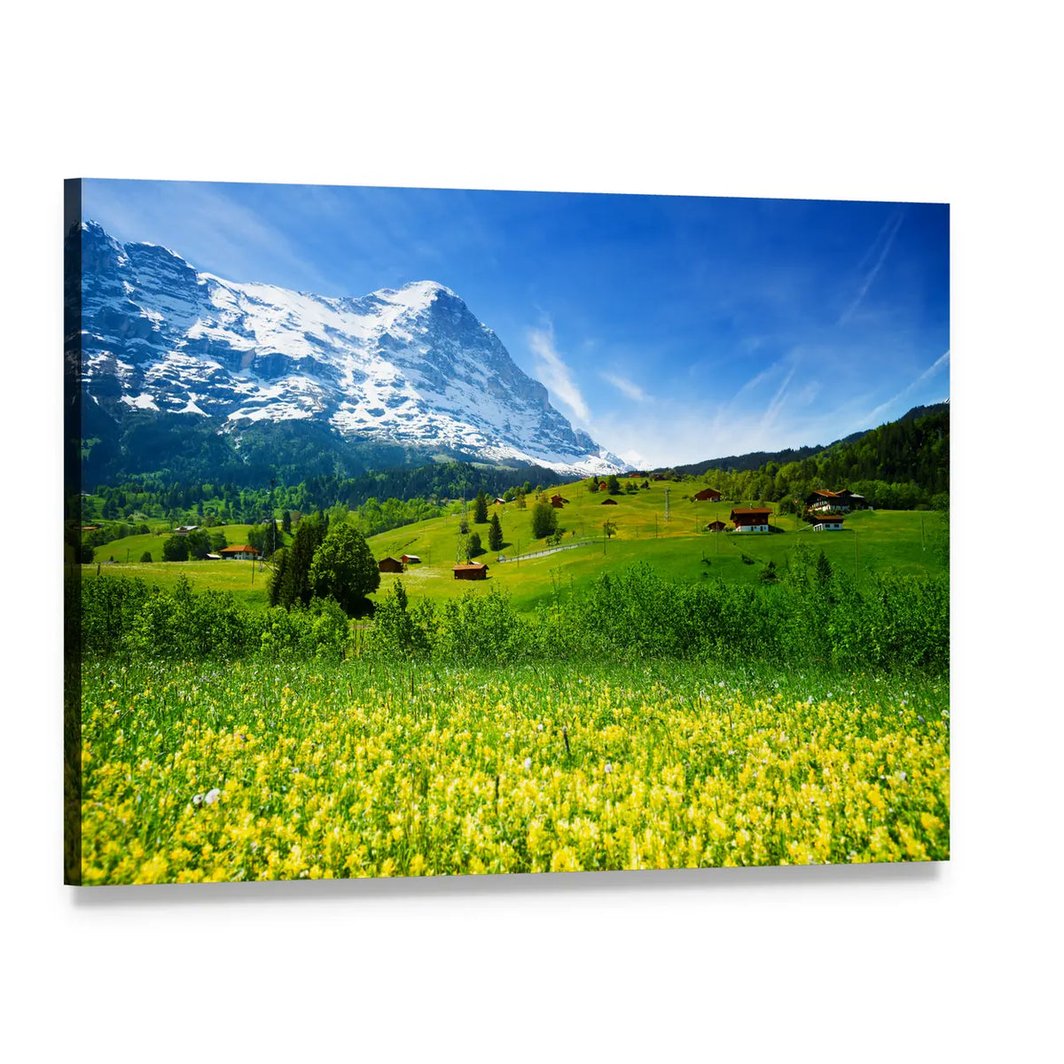 Swiss Alpine Wildflower Meadow Canvas Wall Art, single panel gallery wrapped canvas, angled product view