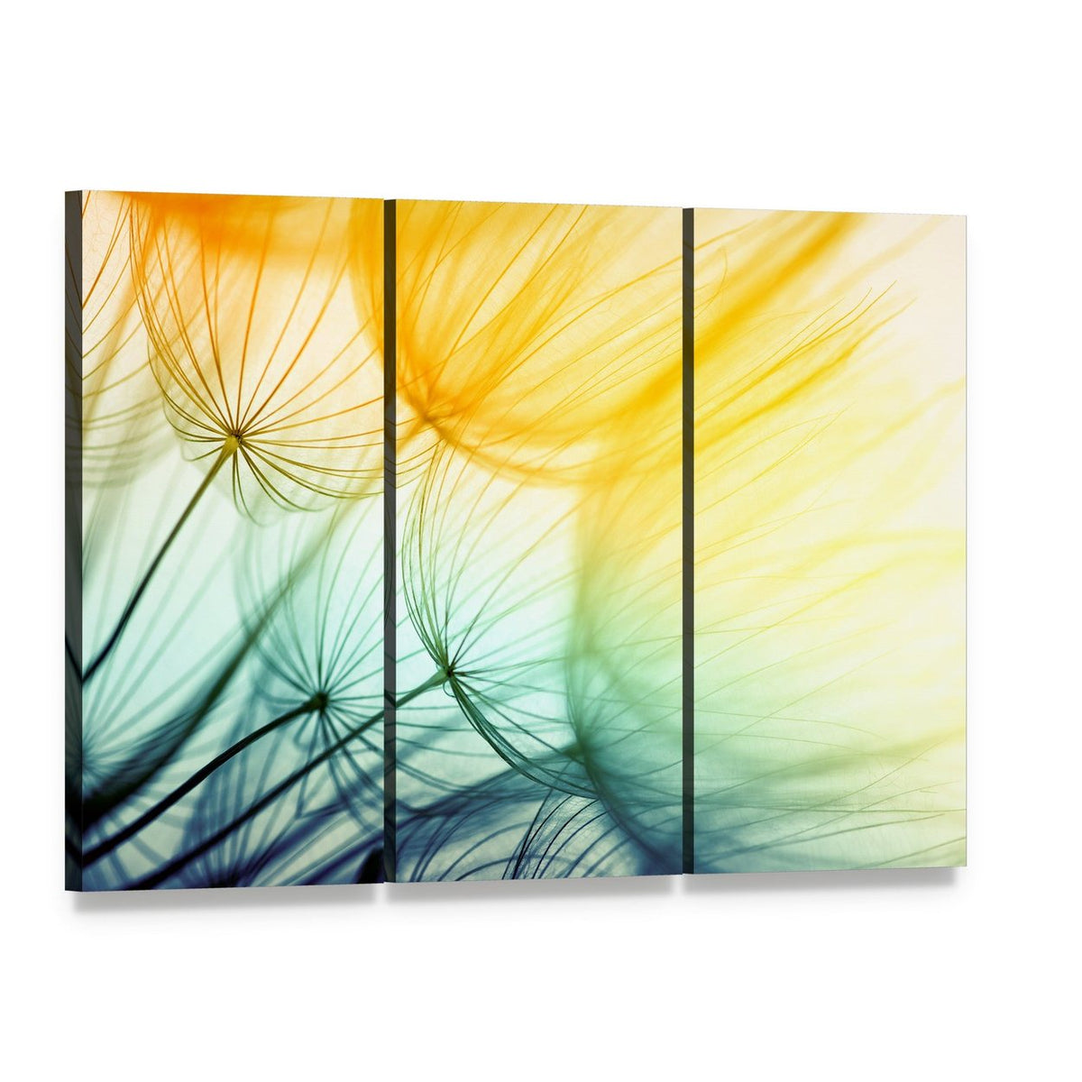 Dandelion Seed in Sunlight Canvas Wall Art, 3 panel 3 Horizontal layout gallery wrapped canvas set, angled product view