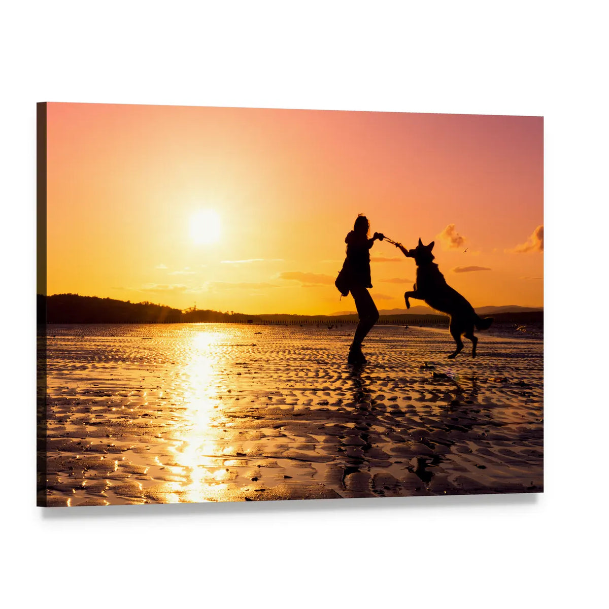 Girl Playing with Dog at Sunset Beach Canvas Wall Art, single panel gallery wrapped canvas, angled product view