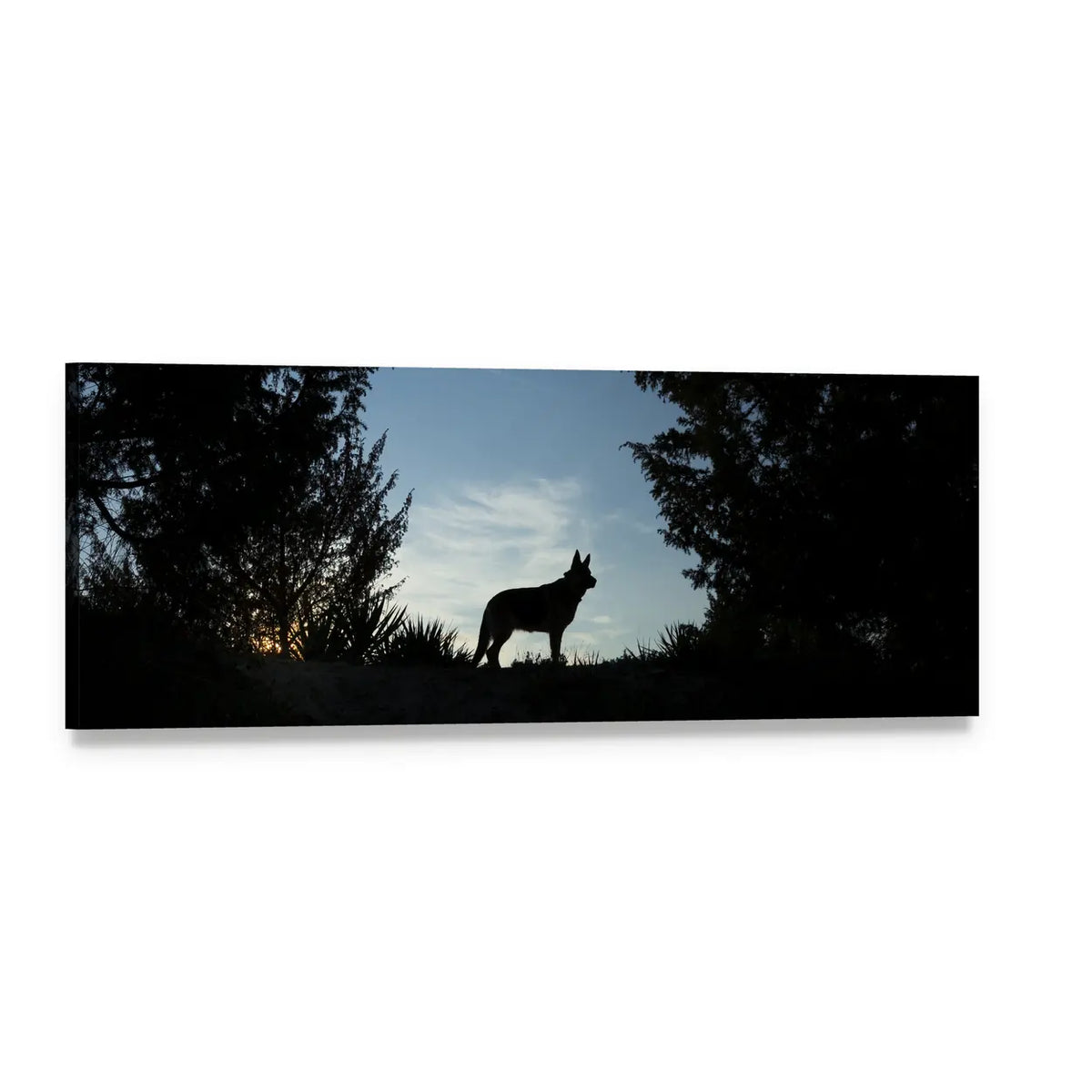 Wolf Dog at Dusk Panoramic Canvas Wall Art, single panel gallery wrapped canvas, angled product view