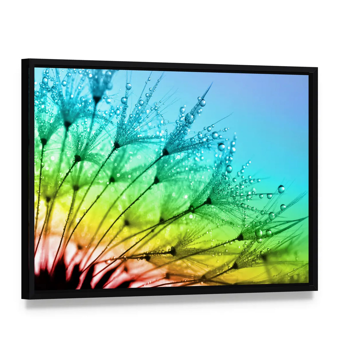Dewy Dandelion Flower Close Up Canvas Wall Art, framed canvas in a black floater frame, angled product view