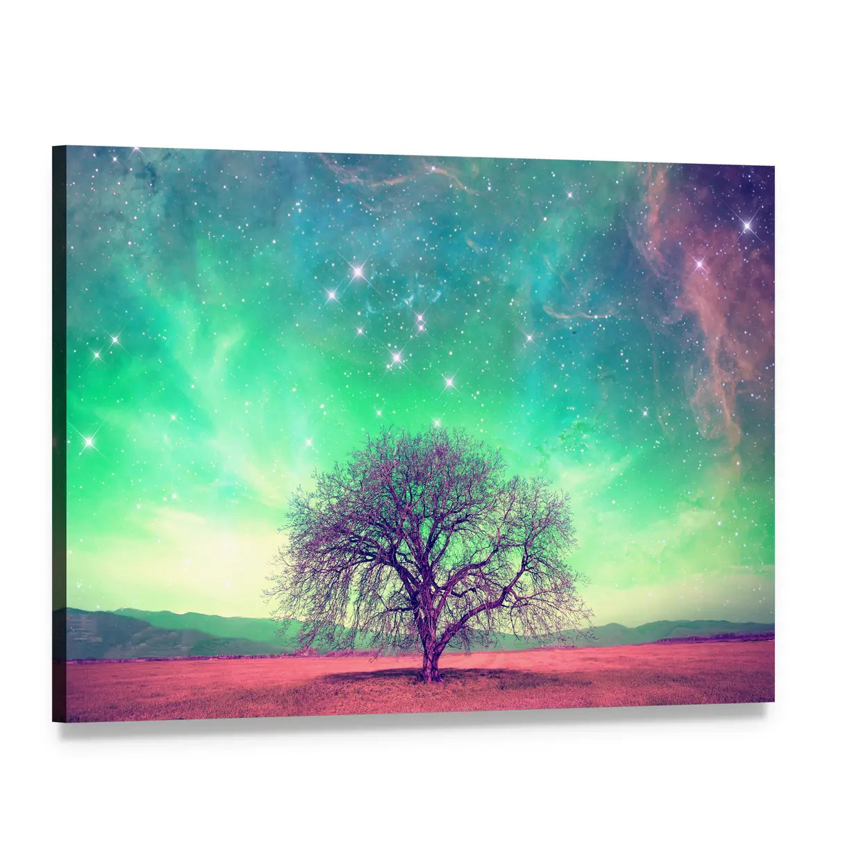 Red Alien Landscape with Solitary Tree Canvas Wall Art, single panel gallery wrapped canvas, angled product view