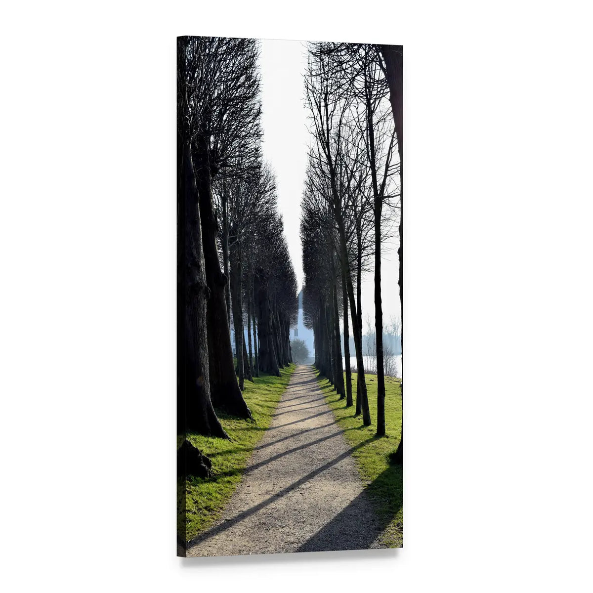 Tree-lined Gravel Path in Forest Vertical Canvas Wall Art, 1 panel 1 Vertical layout gallery wrapped canvas set, angled product view