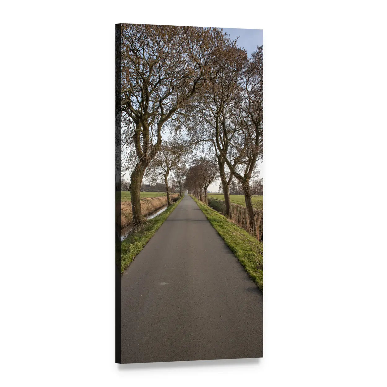 Buitenweg Road Through Fields Vertical Canvas Wall Art, 1 panel 1 Vertical layout gallery wrapped canvas set, angled product view